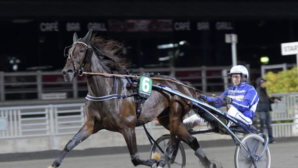 Foto: LARS JAKOBSSON / TR BILD