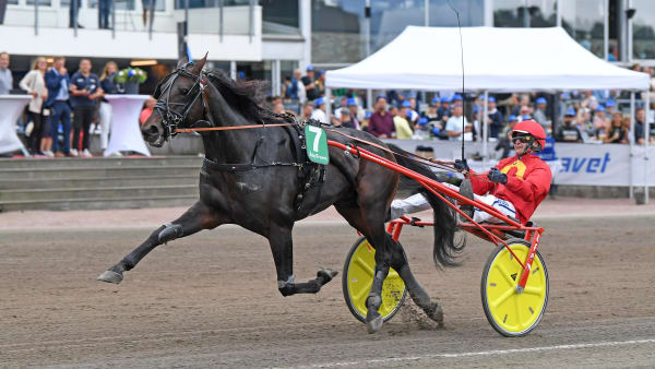 Foto: MALIN ALBINSSON / TR BILD