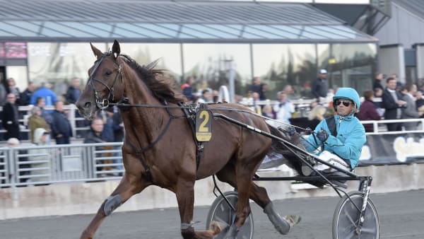 Foto: LARS JAKOBSSON / TR BILD