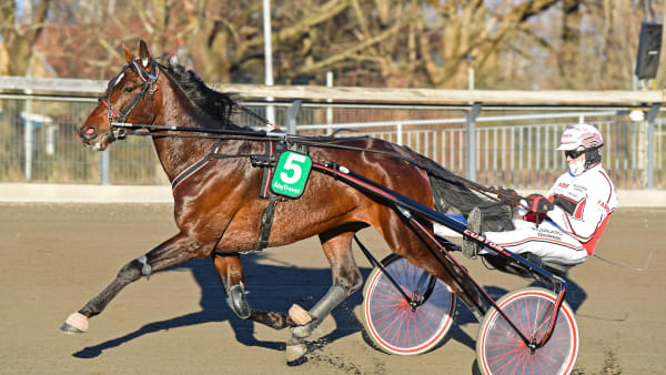 Foto: MALIN ALBINSSON / TR BILD