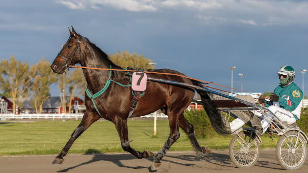 Foto: LENA EMMOTH / TR BILD