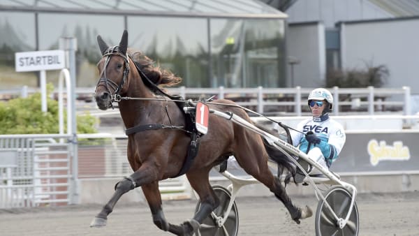 Foto: LARS JAKOBSSON / TR BILD