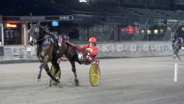 Foto: LARS JAKOBSSON / TR BILD