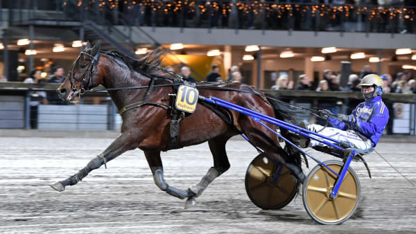 Foto: MALIN ALBINSSON / TR BILD