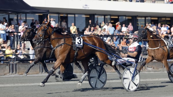 Foto: ROGER SVALSRÖD/HESTEGUIDEN