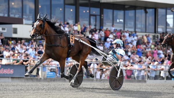 Foto: MALIN ALBINSSON / TR BILD