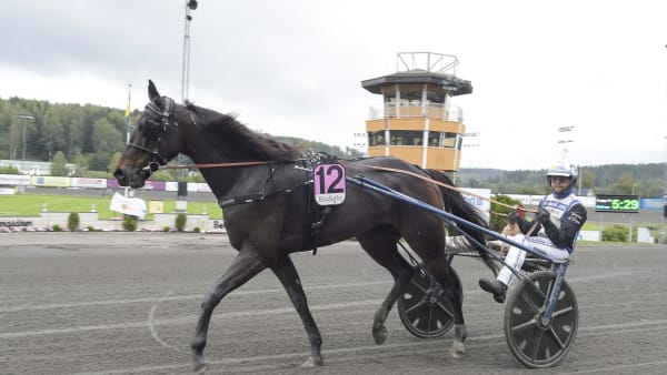 Foto: LARS JAKOBSSON / TR BILD