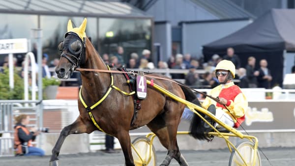 Foto: LARS JAKOBSSON / TR BILD