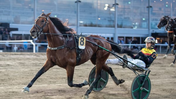 Foto: MIKAEL ROSENQUIST / TR BILD