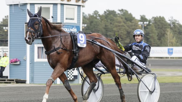 Foto: LENA EMMOTH / TR BILD