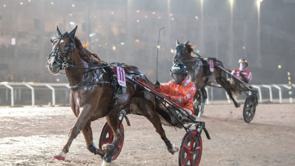 Foto: MIKAEL ROSENQUIST / TR BILD