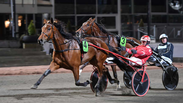 Foto: MALIN ALBINSSON / TR BILD