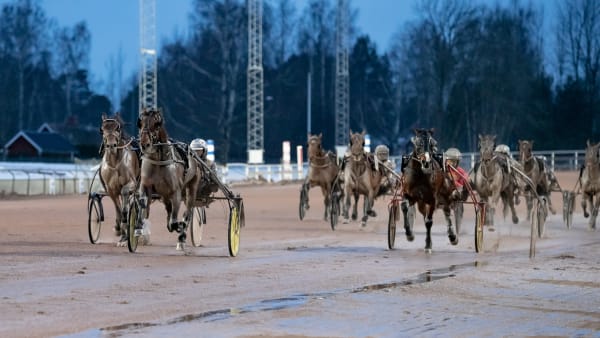 Foto: LENA EMMOTH / TR BILD