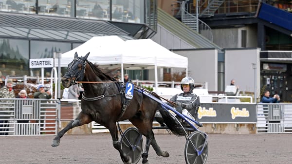 Foto: MARIA HOLMÉN / TR BILD