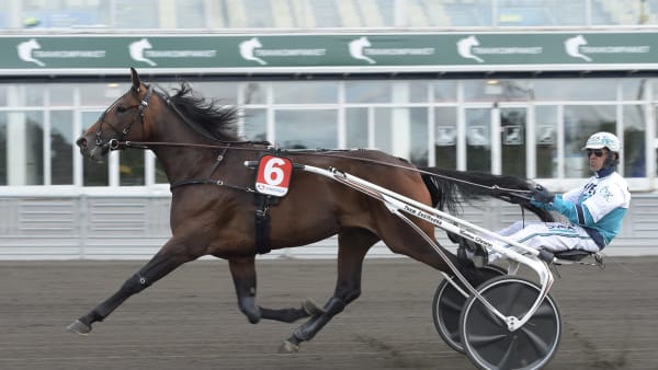 Foto: LARS JAKOBSSON / TR BILD