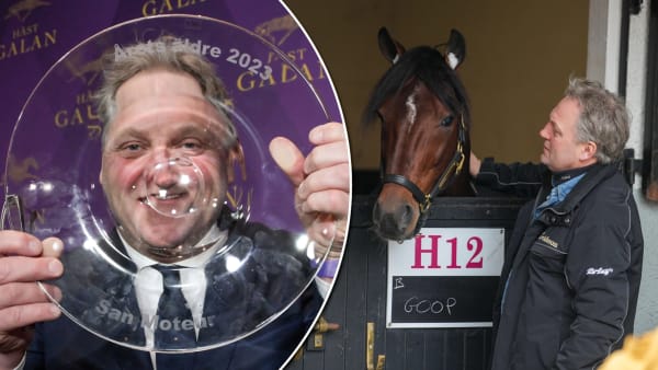 Foto: TR Bild/Montage