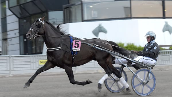 Foto: LARS JAKOBSSON / TR BILD
