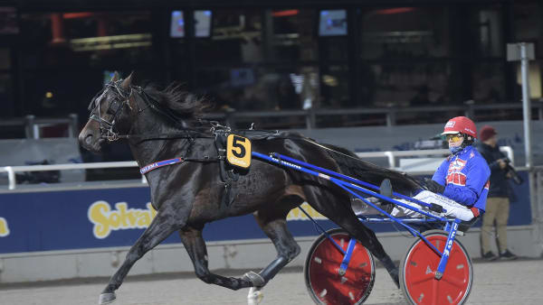 Foto: LARS JAKOBSSON / TR BILD