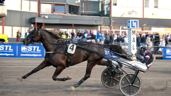 Foto: MIKAEL ROSENQUIST / TR BILD