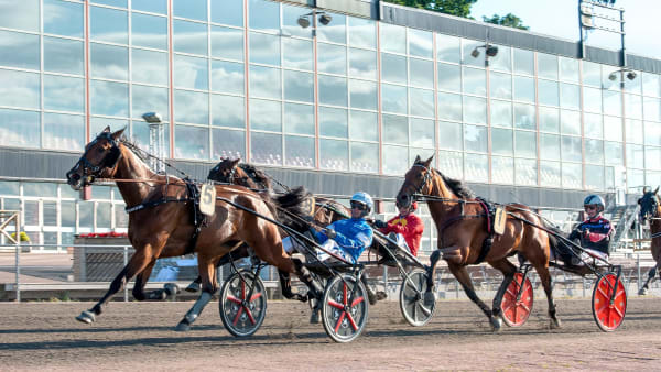 Foto: MIKAEL ROSENQUIST / TR BILD