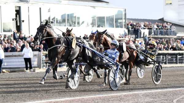 Foto: MALIN ALBINSSON / TR BILD