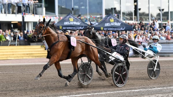 Foto: MALIN ALBINSSON / TR BILD