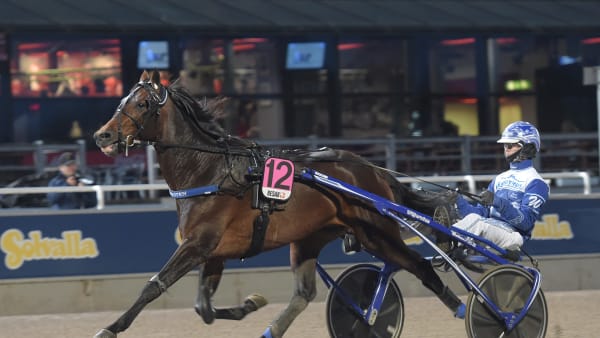 Foto: LARS JAKOBSSON / TR BILD