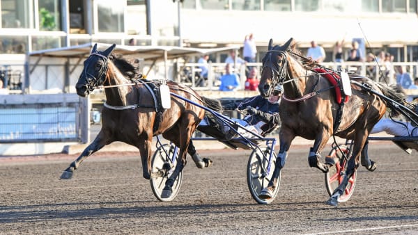 Foto: MALIN ALBINSSON / TR BILD