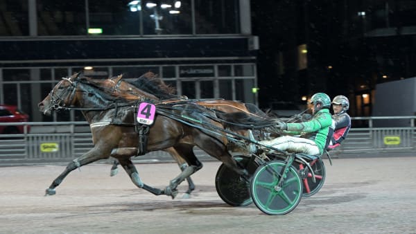 Foto: LARS JAKOBSSON / TR BILD