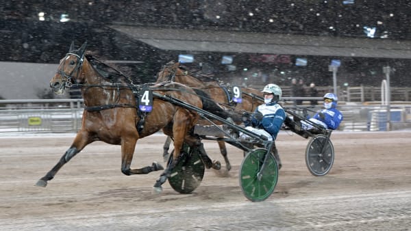 Foto: LARS JAKOBSSON / TR BILD