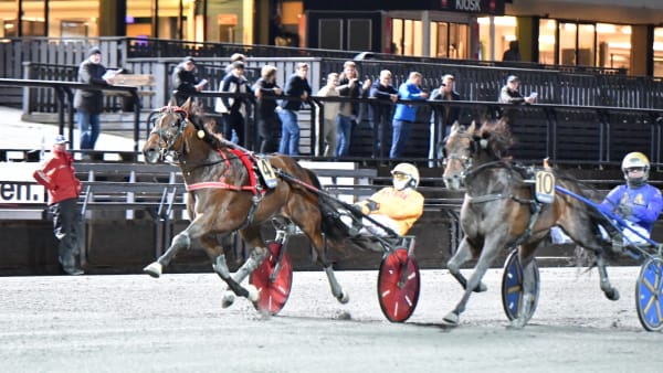 Foto: STEIN LARSEN/TRAV365.NO