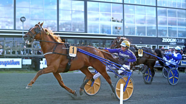 Foto: MARIA HOLMÉN / TR BILD