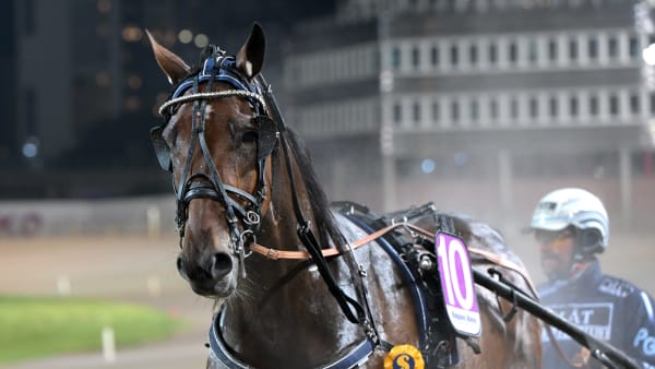 Foto: LARS JAKOBSSON / TR BILD