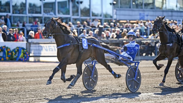 Foto: MALIN ALBINSSON / TR BILD