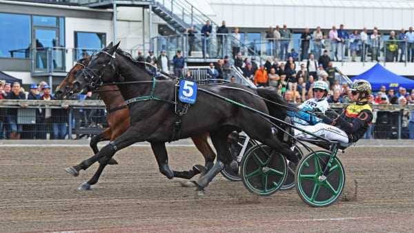 Foto: MALIN ALBINSSON / TR BILD