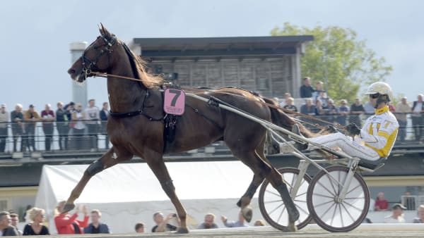 Foto: LARS JAKOBSSON / TR BILD