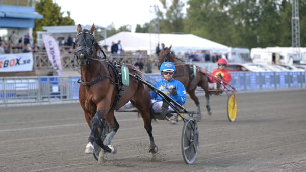 Foto: LARS JAKOBSSON / TR BILD