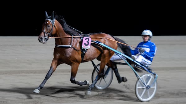 Foto: MIKAEL ROSENQUIST / TR BILD