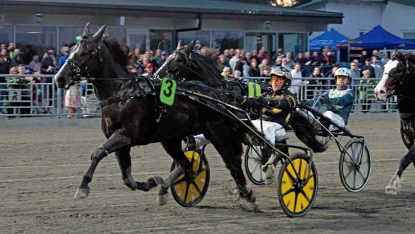 Foto: TOM JÖNEHAG