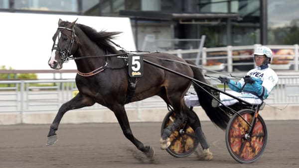 Foto: LARS JAKOBSSON / TR BILD