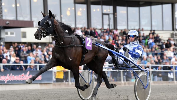 Foto: MALIN ALBINSSON / TR BILD