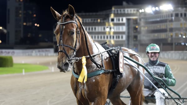 Foto: LARS JAKOBSSON / TR BILD