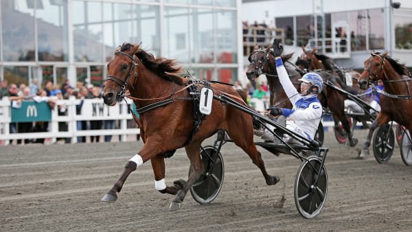 Foto: MATILDA ÖHRMAN / TR BILD