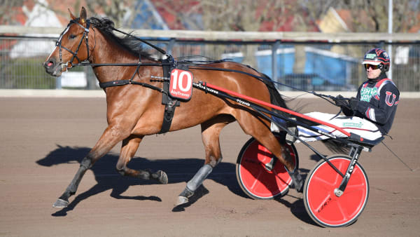 Foto: MALIN ALBINSSON / TR BILD