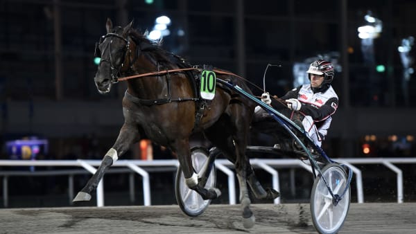 Foto: MALIN ALBINSSON / TR BILD