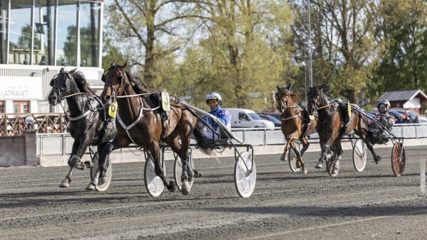 Foto: LENA EMMOTH / TR BILD