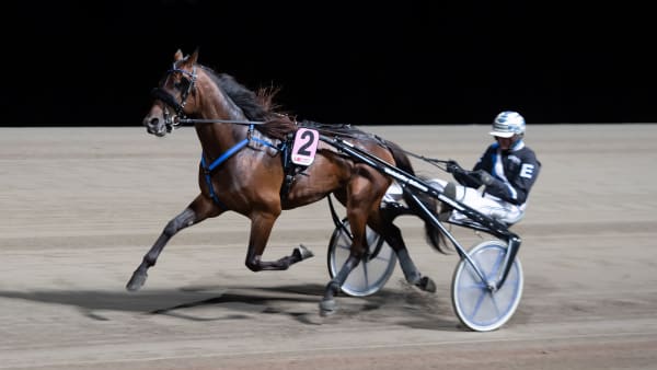 Foto: MIKAEL ROSENQUIST / TR BILD