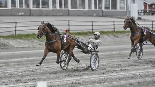 Foto: JENNY REHNMAN / TR BILD