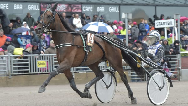 Foto: LARS JAKOBSSON / TR BILD