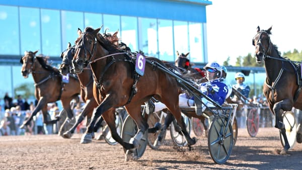 Foto: MARIA HOLMÉN / TR BILD